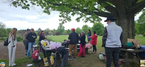 🧺 Picnic at the Park (2025)