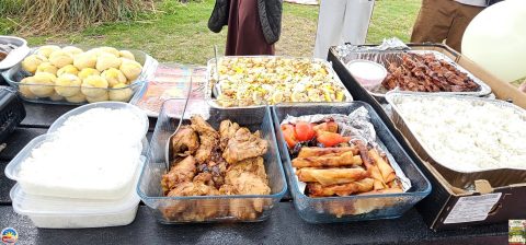 Picnic at the Park (2025) photo 9