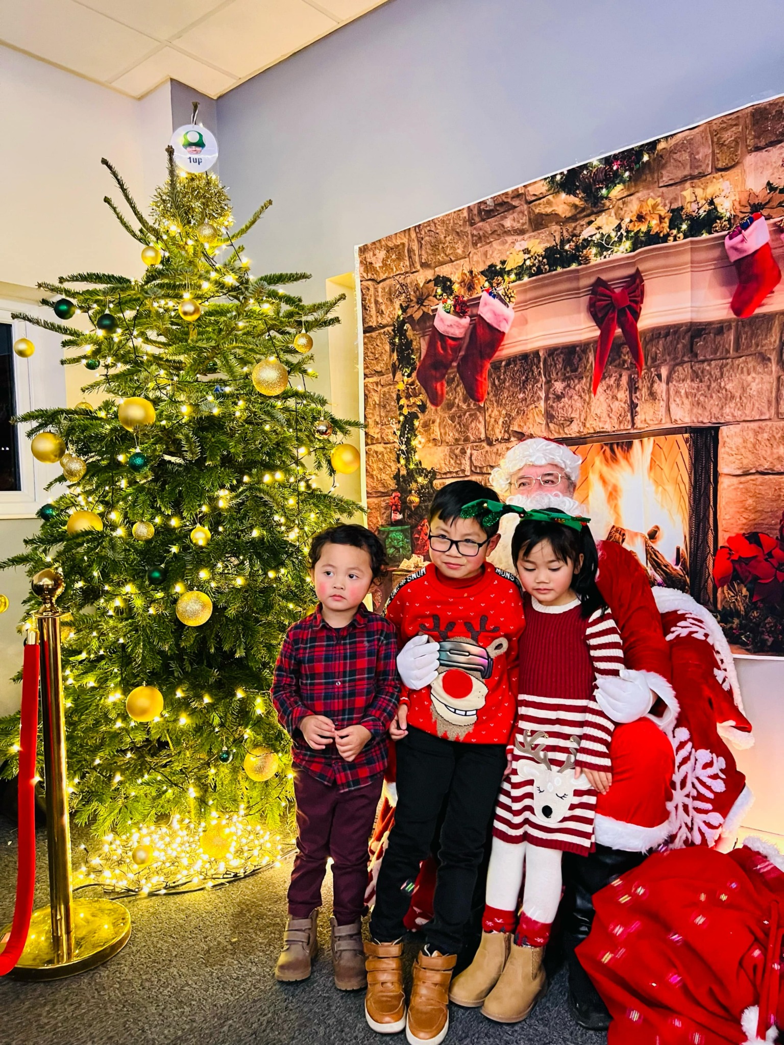 🎄 Christmas Celebration 2024